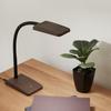 OHM Electric LED Desk Lamp, Desk Light, Study Stand, Daylight White, Brown Wood Grain Finish, DS-LS20-T, 06-3831