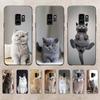 Чехол для телефона «Серый кот» для iPhone Samsung Galaxy Redmi Xiaomi Oppo OnePlus Note SA 7 8 9 10 11 12 13 14 20 21 22 23 53 54 Pro Max Plus Ultra TPU Soft
