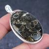 Natural Turtilla Fossil Gemstone Handmade 925 Sterling Silver Pendant 2.25" H7f32