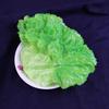 Искусственный зеленый салат и капустный лист, декорация