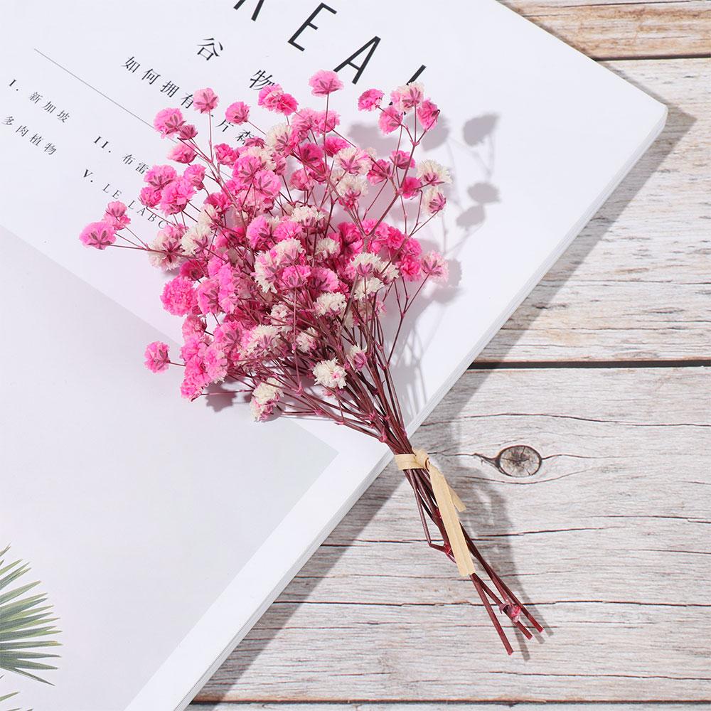 Натуральные Материалы Домашний Декор Живые Цветы Мини Гипсофила Натуральные Сушеные Букеты Растительные Стебли