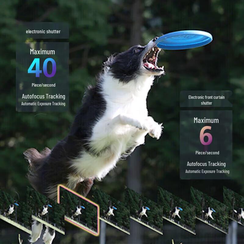 Canon EOS R8 Full-Frame Mirrorless Camera Kit (CN version)