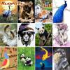 Frameless Animals DIY Painting By Numbers Acrylic Picture Hand Painted Oil Painting Wall Art Canvas For Wall Art 40x50CM