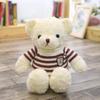 Teddy Bear Sweater Hug Plush Doll for Girls - Valentine's Day or Birthday Gift