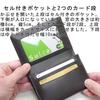 Leather Craftsman Secondary Pass Case Bifold Coin Purse Included Genuine Leather Pass Case PR005 BK Multi-Pocket (Black)