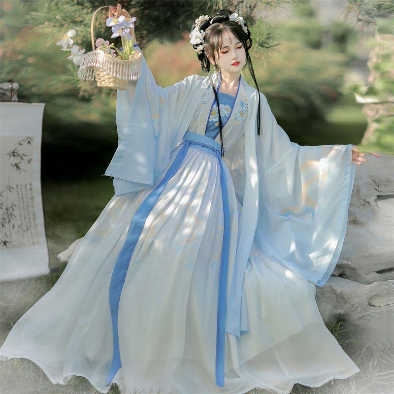 Chinese Song Dynasty Style Hanfu Women's Wear Daily Pleated Skirt Set