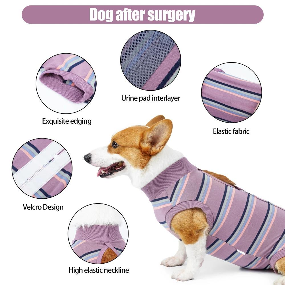 Thickened Neuter Anti-Lick Suit Breathable Bite Protective Outfit Post-Surgery Care