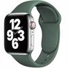 Sc Silicone Band Aw 42/44/45 Pine Green