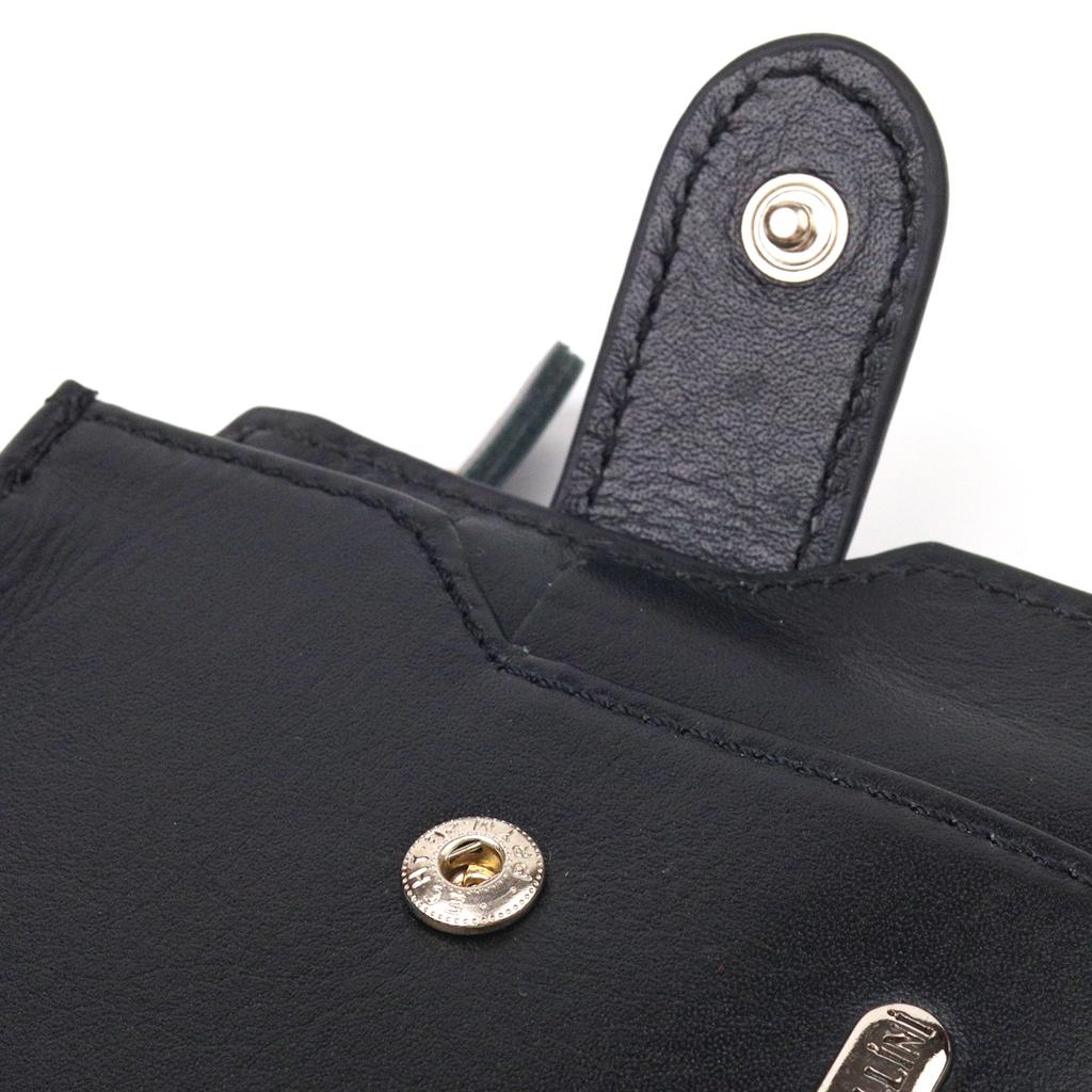 Стильный мужской горизонтальный кошелек из натуральной гладкой кожи CANPELLINI Purse 21505 Черный