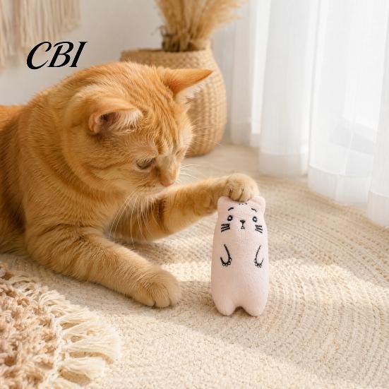 Kitten Teething Toy Stuffed Animal Catnip Toy, Soft Plush Cat Chew Cute Bear Duck Frog Enrichment for Indoor Cats Kittens