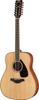 Acoustic Guitar 12 String FG820-12