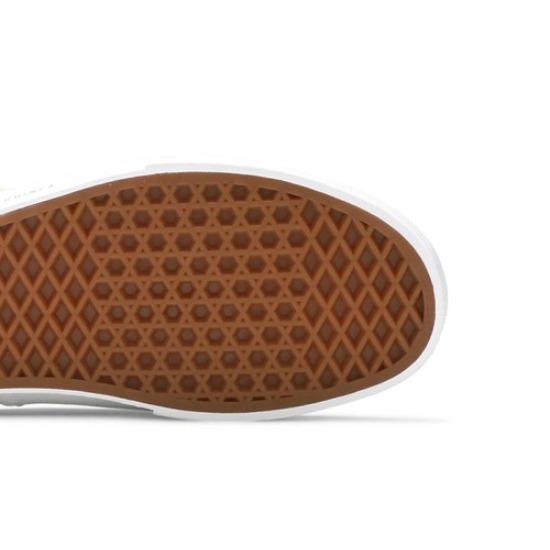 Vans Мужская обувь National Geographic x Authentic 'Ocean' VN0A2Z5I002