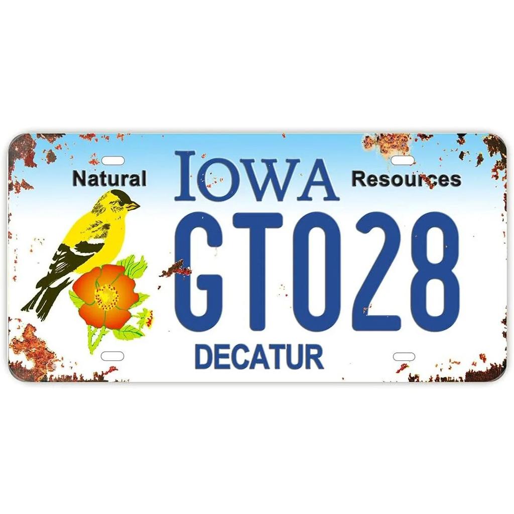 License Plate USA Retro Car Metal License Plate Novelty Wall Decoration Auto License Plate Signs Front Cover Garage Cafe Pub Bar