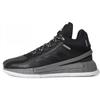 D Rose 11 'Черно-серый' FU7404