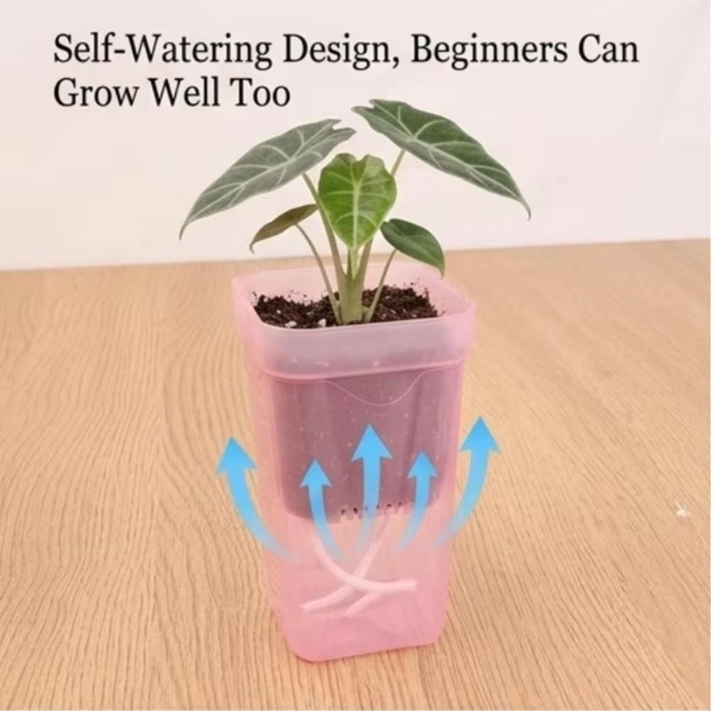 Plastic Self-Watering Flower Pots Root View Nursery Pots New Hydroponic Planters Succulent Growing