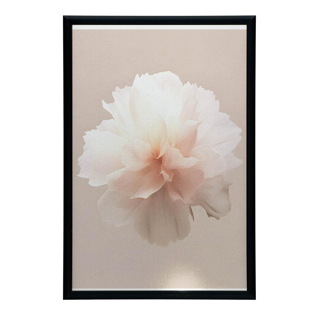 Pastelowy Kwiat W Detalu Pastelowy Kwiat W Detalu, 70X100 Cm, Rama Drewniana Jasny Dąb, Papier Matowy 230 Gsm