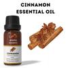 Ananta Cinnamon Essential Oil 10 Ml – Warm Spicy Aroma Oil for Diffuser & Home Fragrance
