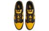 Nike Dunk Low 'Reverse Goldenrod' FZ4618-001