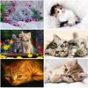 Алмазная картина полная квадратная/круглая смола 5D DIY Алмазная вышивка милый кот стразы мозаика животные новогодние украшения