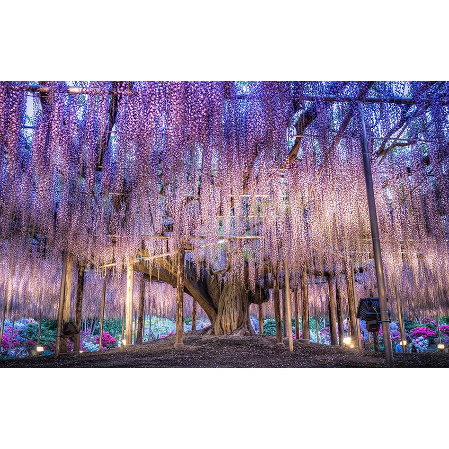 5D алмазная живопись закат пейзаж Diy круглая вода алмазная вышивка пляжная мозаика узор полный дизайн украшения дома