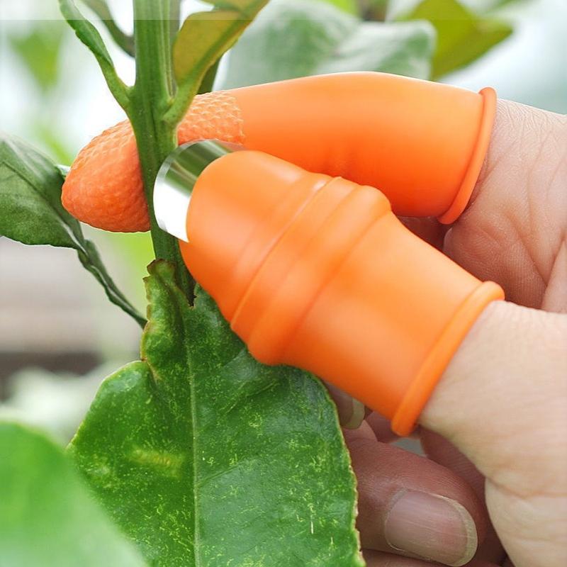 Cortador De Polegar Ferramentas De Jardinagem Tesouras De Poda Jardim Colheita Planta Legumes Separador Dedo Ferramenta