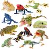 TOYMANY 12PCS Frog Figures Animal Figure Set Frog Model Figurine Realistic Animal Model Toy Birthday Gift Decoration Christmas New Year Collection