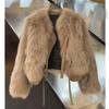Autumn Winter Women's Short Jacket Faux Fur Coat Loose Plush Outerwear Female Imitate Fox Furs Jacket