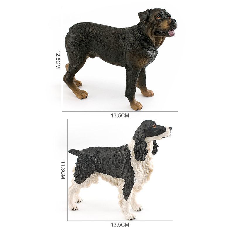 Simulation Animal Model Bullhead Terrier Dogo Springer Rottweiler Scientific And Educational Cognitive Static Ornament