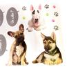 Les Trésors De Lily [L2471] - Лист наклеек «Любовь к животным» собаки (50х70 см)