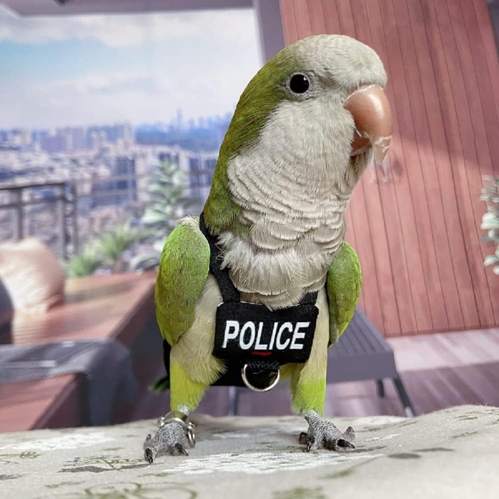 Bird Clothes Parrot Diapers Bird Flight Suits, Reble Waterproof Diapers pet Bird Supplies (2XL)