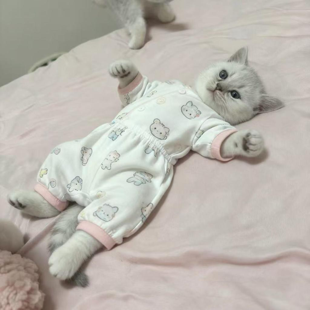 Cat and dog cute warm pajamas new comfortable four-legged puppies universal cold-proof pet pajamas pet products