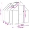 Greenhouse with Foundation Frame Silver 224 x 169 x 195 cm Aluminum