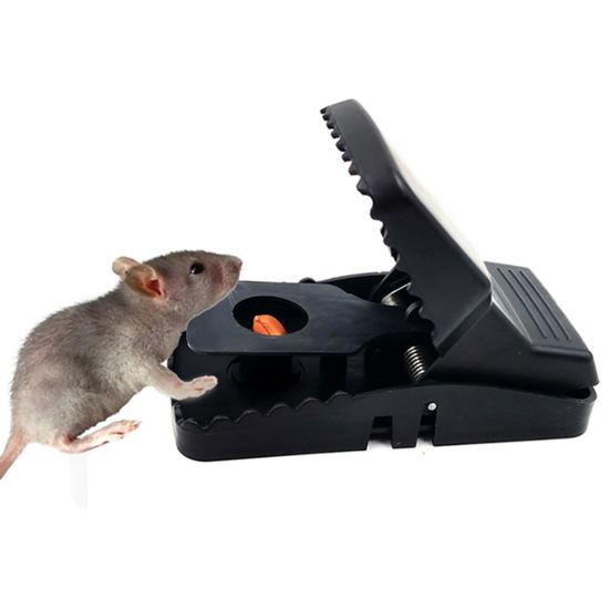 5 Pcs Mouse Trap Indoor Outdoor Mouse Snap Trap with Strong Spring Easy Setup Quick Mouse Catcher for House Mice Rats Rodents