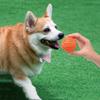Pet Dog Toys Dog Ball Dog Bouncy Rubber Solid Ball Resistance To Dog Chew Toys Outdoor Throwing and Recovery Training for Dogs