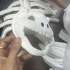 Plush Dinosaur Skeleton Pet Clothes White Pet Hood Outfit New Pet Clothes  Cat