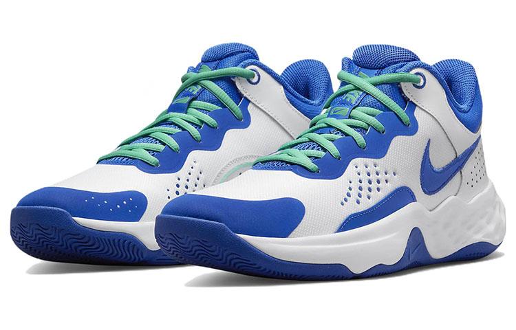 Nike Fly.By Mid 3 Белый Game Royal DD9311-102