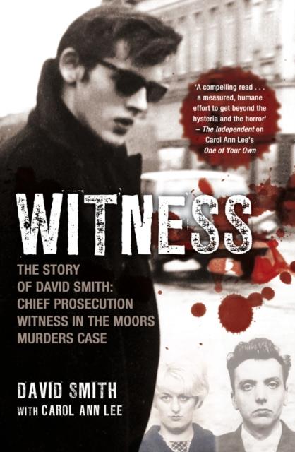 Книга Witness (later Issued As Evil Relations)