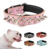 Модные аксессуары для питомцев против укусов с заклепками, прочный кошачий чокер, собачьи цепочки, ожерелье для питомца, собачий ошейник