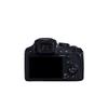 Panasonic FZ80D Bridge Digital Camera (CN version)