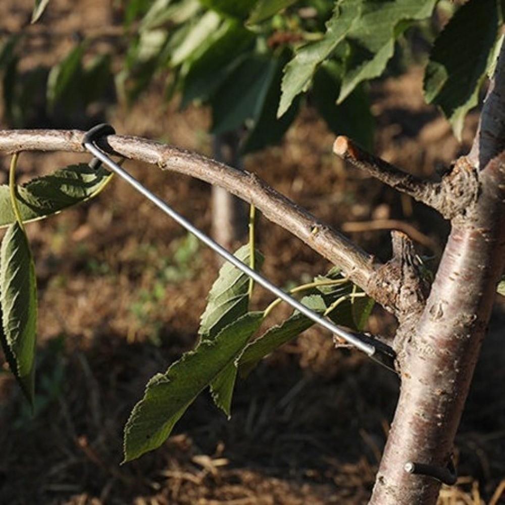 10Pcs High-Strength Fruit Tree Branch Puller Anti-Slip Branch Bending Clips Outdoor Farm Planting