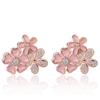 Европейские и американские серьги серии Flowers Fresh Earrings