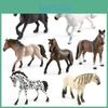Потрясающий набор из 7 статичных моделей лошадей, демонстрирующий квотерхорса, аппалузу и ганновера, для игры детей и украшения дома