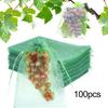 100Pcs Fruit Protection Mesh Bags Drawstring Netting Cover Mesh Fruit Protectors Bird-proof Fruit Bags Strawberry Blueberry Protection Bags