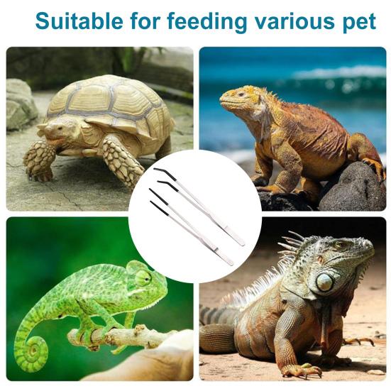 2 шт. Щипцы для кормления рептилий из нержавеющей стали с резиновым наконечником, длинные прямые и изогнутые пинцеты, аксессуары для аквариума с бородатыми агамами и змеями, принадлежности для террариума