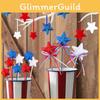 Patriotic Festival Decorations Star Wands With Plastic Material For Independence Day Parties