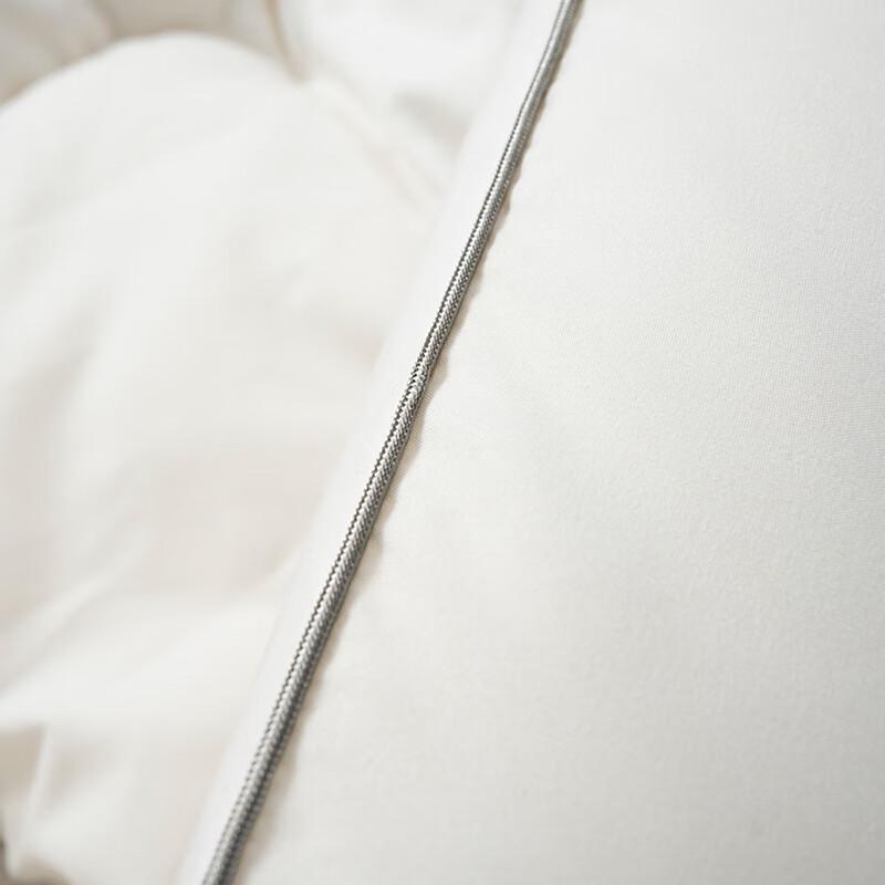 Mercury Home Textiles Cloud Comfort Antibacterial Soybean Quilt