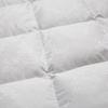 CALVERT Supreme All-Cotton Goose Down Comforter