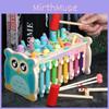 Wooden Interactive Owl Children Whacka Mole Toys Catching Fishing Gift Features