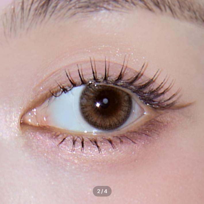 Ирис Торический Гало Коричневый