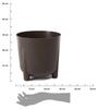 Donica Moss Eco Coffee Espresso 30Xh28